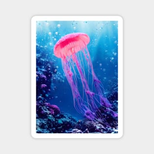 Jellyfish Magnet