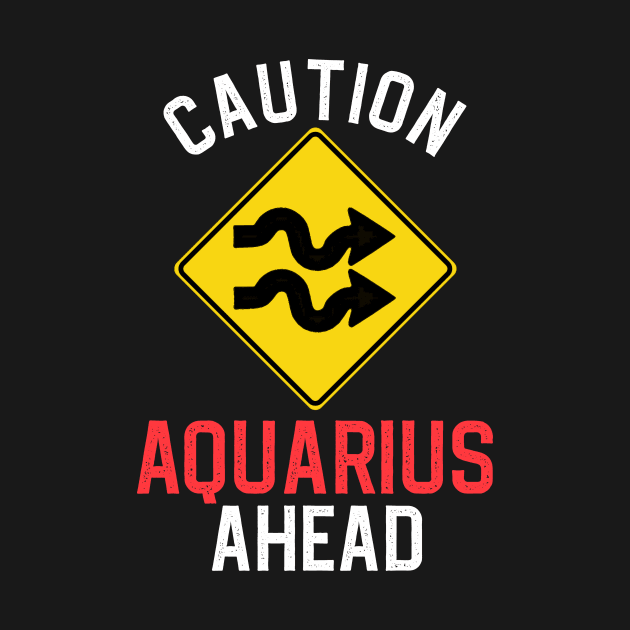 Funny Zodiac Horoscope Aquarius Road Sign Traffic Signal by WitchNitch