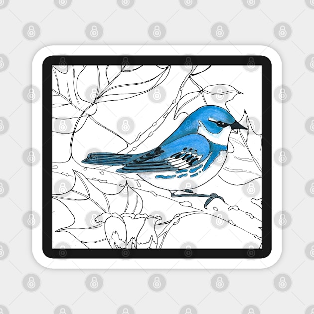 Cerulean Warbler Magnet by Peleegirl