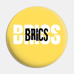 BRICS group Pin