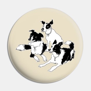 Billy, Angus and Meg Pin