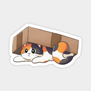 Cute Calico Cat Under Cardboard Box Magnet