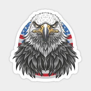 USA Eagle Magnet