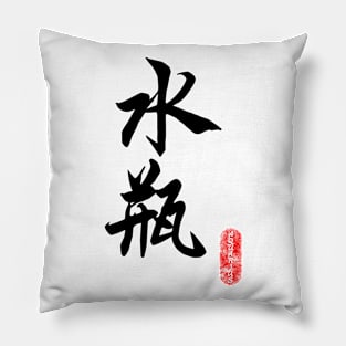 Aquarius - Horoscope 水瓶座 Pillow