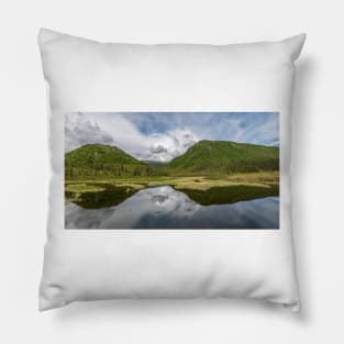 Mountain Pond Panorama Pillow