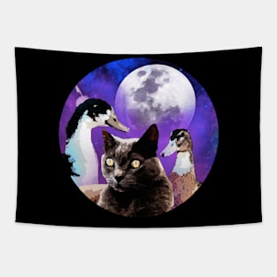 Two Ducks Cat Moon Tapestry