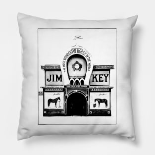 Beautiful Jim Key Performing Horse Pillow