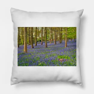 Bluebells Bluebell Woods Greys Court Oxfordshire UK Pillow