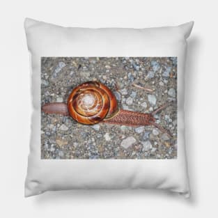 Pacific sideband snail (Monadenia fidelis) Pillow