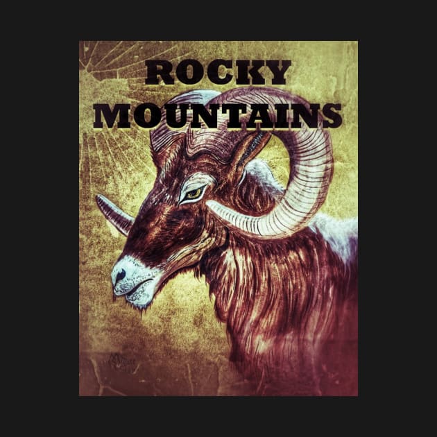 Rocky Mountains Bighorn Sheep by Matt Starr Fine Art