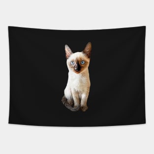 Siamese Kitten Gorgeous cat Tapestry