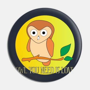 Owl You Need Is Love Pin