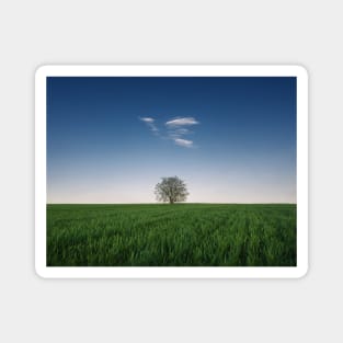 a tree in the wheat field Magnet