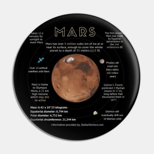 Mars Infographics Pin