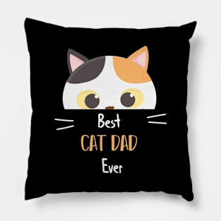 Best Cat Dad Ever Funny Fathers Cat Lovers Pillow