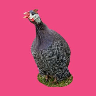 Helmeted Guineafowl T-Shirt