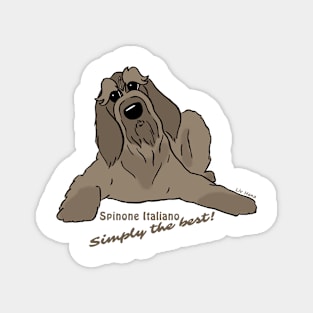 Spinone Italiano dunkel - Simply the best Magnet