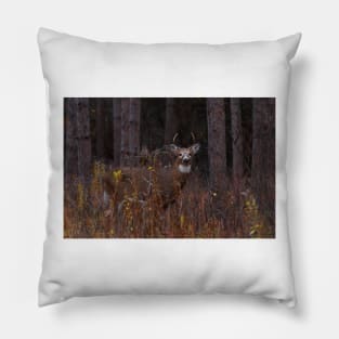 Deep Woods Buck - White-tailed Deer Pillow