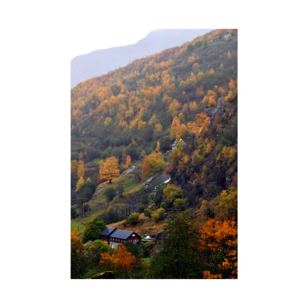 Autumn Trees Flamsdalen Valley Flam Norway by AndyEvansPhotos