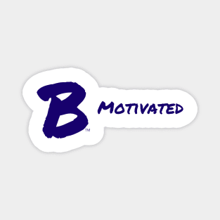 B Motivated Magnet