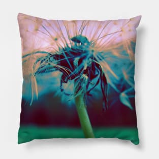 Dandelion Pillow