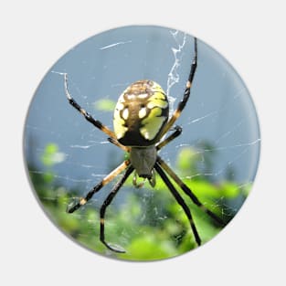 Orb Weaver Spider Pin