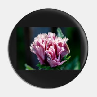 Frilly purple oriental poppy Pin