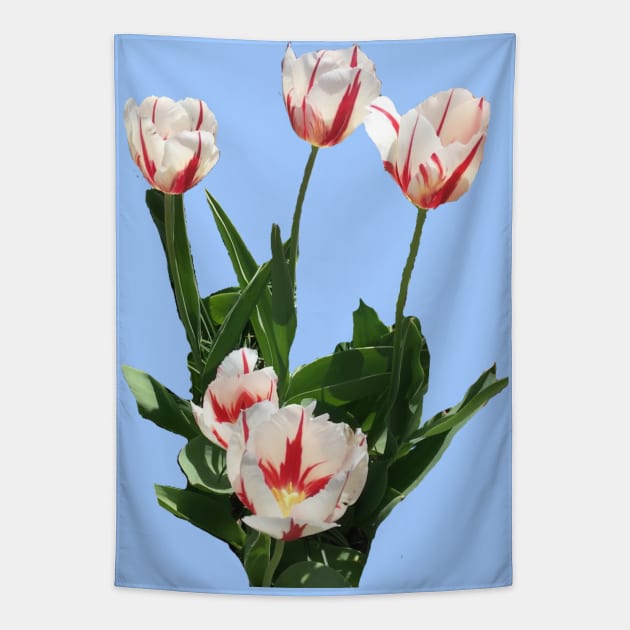 Red and White Tulips Tapestry by Amanda1775