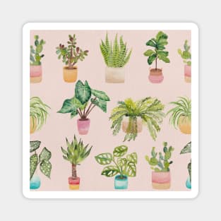 Plants Collective in Blush Pink | Houseplants | Botanicals | Watercolor Magnet