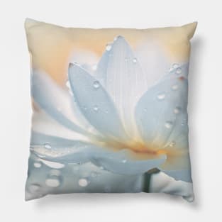 Lotus Flower Petal Nature Serene Calm Pillow