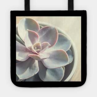 Echeveria Succulent #3 Tote