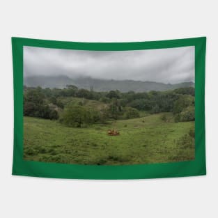 Scenic inner Kauai rural scene, Hawaii Tapestry