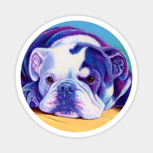 Colorful English Bulldog Magnet