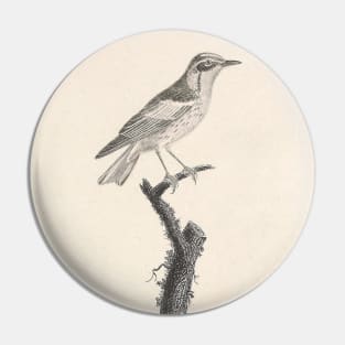 The Blackburnian warbler Pin