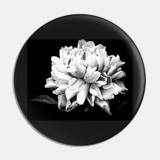 Monochrome Photography Peony Bloom Pin