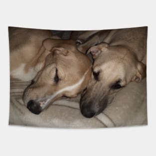 Dogs Sleeping Tapestry