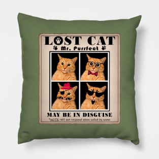 LOST CAT: Missing Mr. PURRfect Pillow