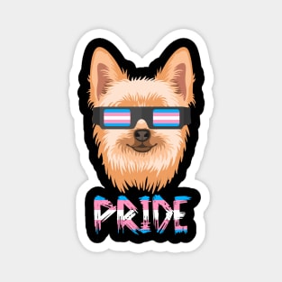 Yorkie Transgender Flag Lgbt Magnet