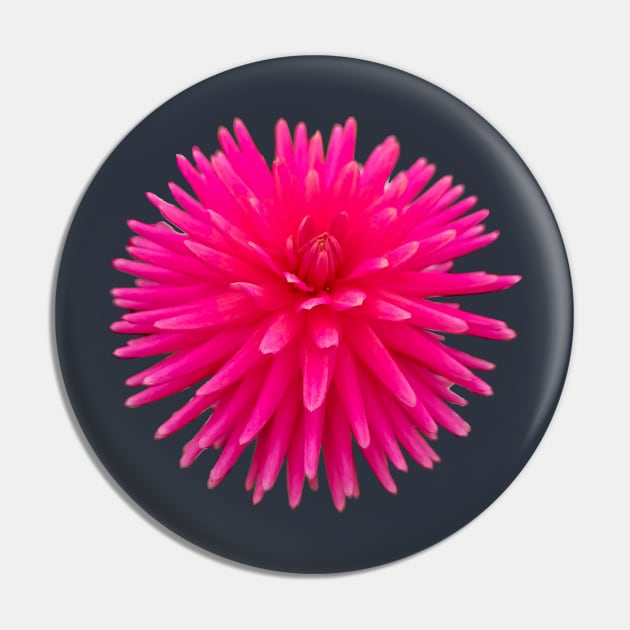 Red Spikes Dahlia Flower Photo Cutout Pin by ellenhenryart