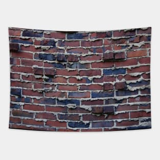 Clinker Brick with Weeping Mortar Tapestry