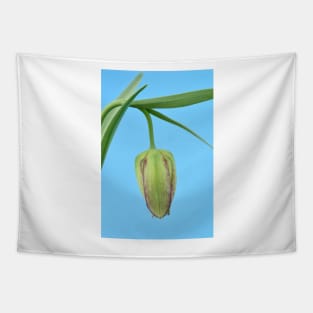 Fritillaria Fritillary April Tapestry