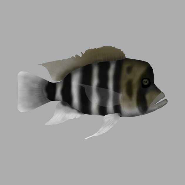 Humphead Cichlid by FishFolkArt