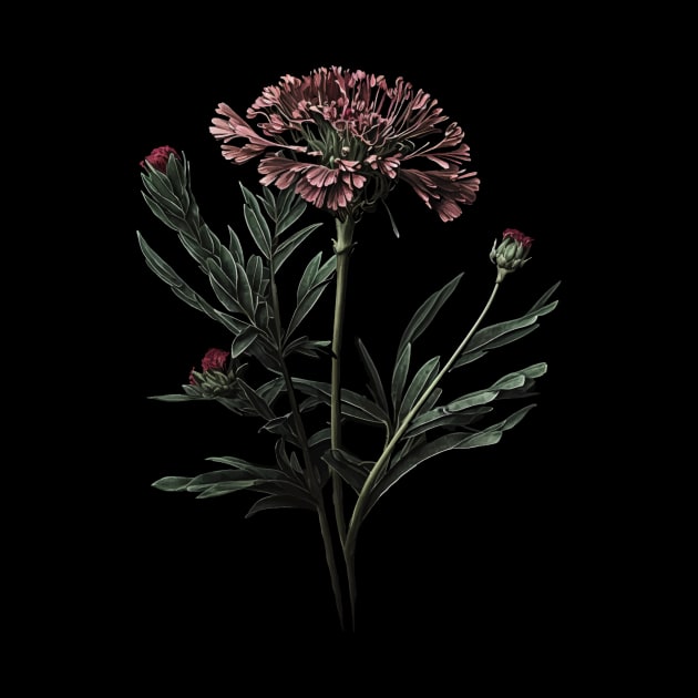 Red Sweet William Flower by Enyr's little witchy corner