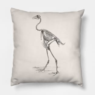 Bird Skeleton Pillow