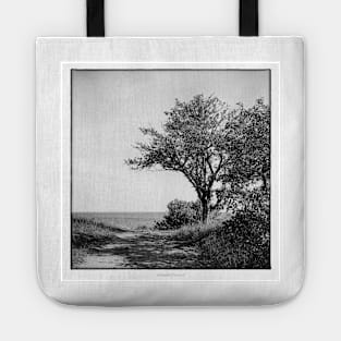 Beach view  towards the Baltic Sea. Tote