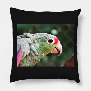 Green Parrot Photography Pillow