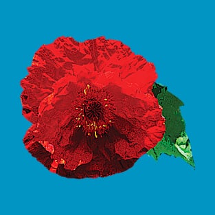 One Red Poppy T-Shirt