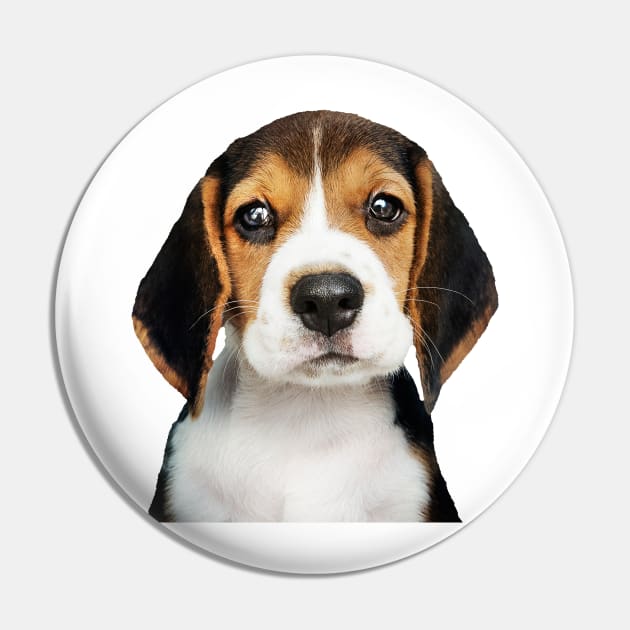 Adorable Beagle, Beagle Dog, Beagle, Gift For Beagle Lovers, Beagle Lover, Beagle Dog Lover, Beagle Mom, Beagle Dad, Beagle Dog Gift, Beagle Puppy, Gifts For Beagle Lovers, Beagle Lover Gift, Beagle Lovers Pin by hellowearse