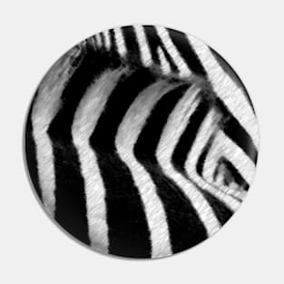 Zebra Crossing Pin