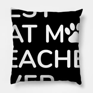 Teacher Pillow